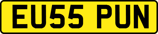 EU55PUN