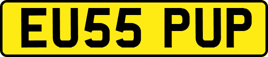 EU55PUP