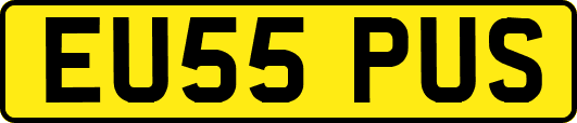 EU55PUS