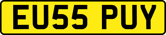 EU55PUY