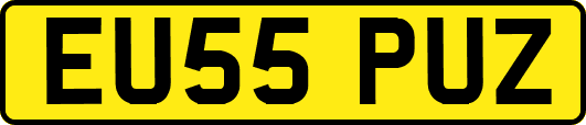 EU55PUZ