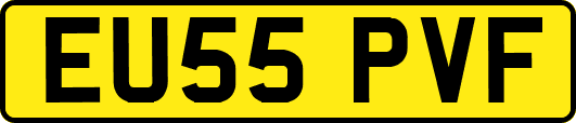 EU55PVF