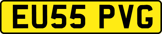 EU55PVG