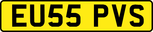 EU55PVS
