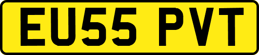EU55PVT