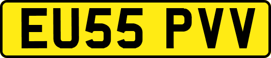 EU55PVV