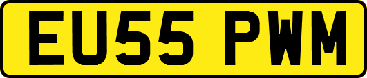 EU55PWM