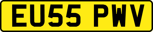 EU55PWV