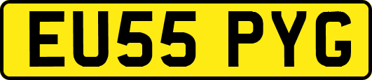 EU55PYG