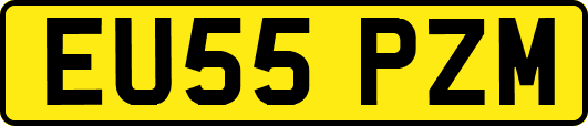 EU55PZM