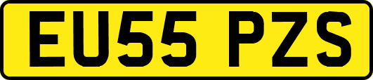 EU55PZS
