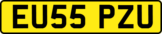 EU55PZU