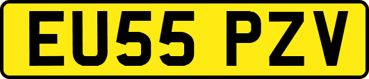 EU55PZV