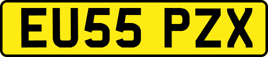 EU55PZX