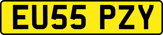 EU55PZY