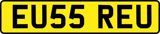 EU55REU