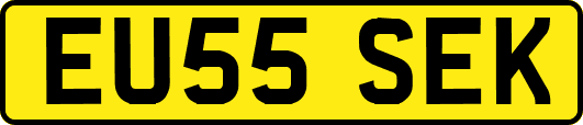 EU55SEK