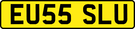 EU55SLU