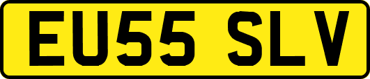 EU55SLV
