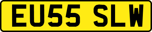 EU55SLW