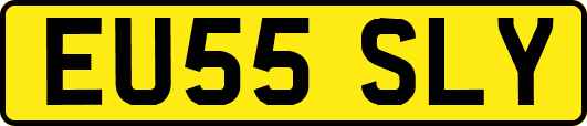 EU55SLY
