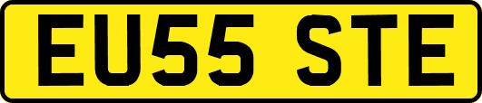 EU55STE