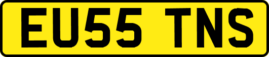 EU55TNS
