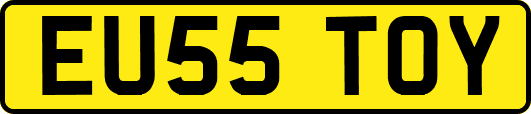 EU55TOY