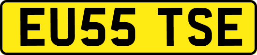 EU55TSE