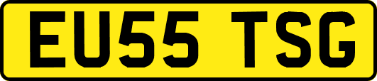 EU55TSG