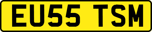 EU55TSM