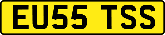 EU55TSS