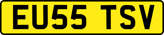 EU55TSV