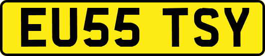 EU55TSY