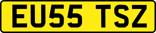 EU55TSZ