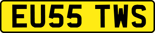 EU55TWS