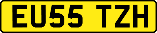 EU55TZH