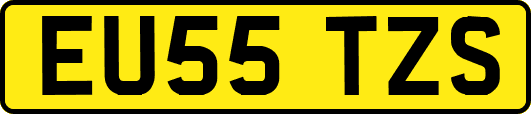EU55TZS