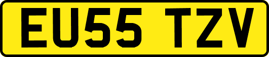 EU55TZV