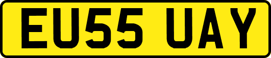 EU55UAY