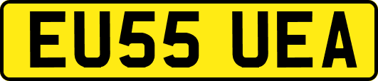 EU55UEA