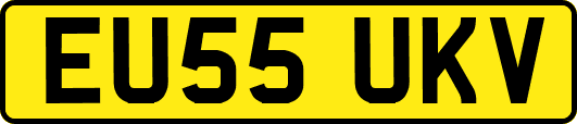 EU55UKV