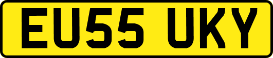 EU55UKY