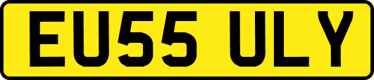 EU55ULY