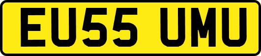 EU55UMU