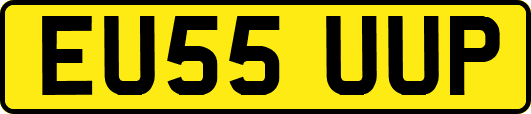 EU55UUP