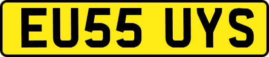 EU55UYS