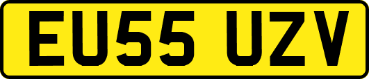 EU55UZV