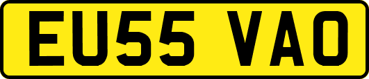 EU55VAO