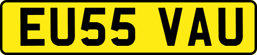 EU55VAU